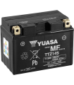 YUASA Battery TTZ14S (V) ST1300 CP