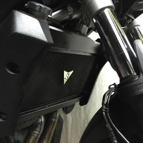 JEALOU'S Radiator Guard for Yamaha JMR-01-YA101 MT-07`13-15