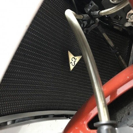 JEALOU'S Radiator Guard for Yamaha JMR-01-YA116 MT-10`16