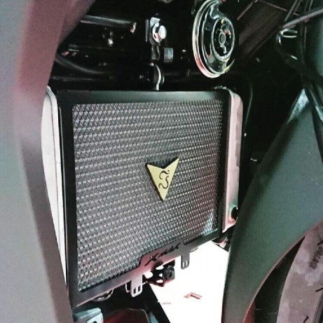 JEALOU'S Radiator Guard for Yamaha JMR-01-YA118 X-MAX