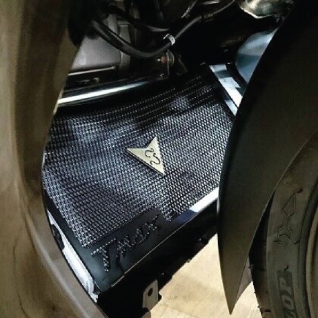 JEALOU'S Radiator Guard for Yamaha JMR-01-YA119 T-MAX 530`17