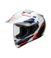 SHOEI Hornet-Adv Invigorate TC10 [PSB APPROVED]